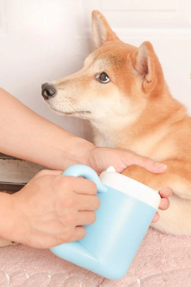 Automatic Pet Paw Washer