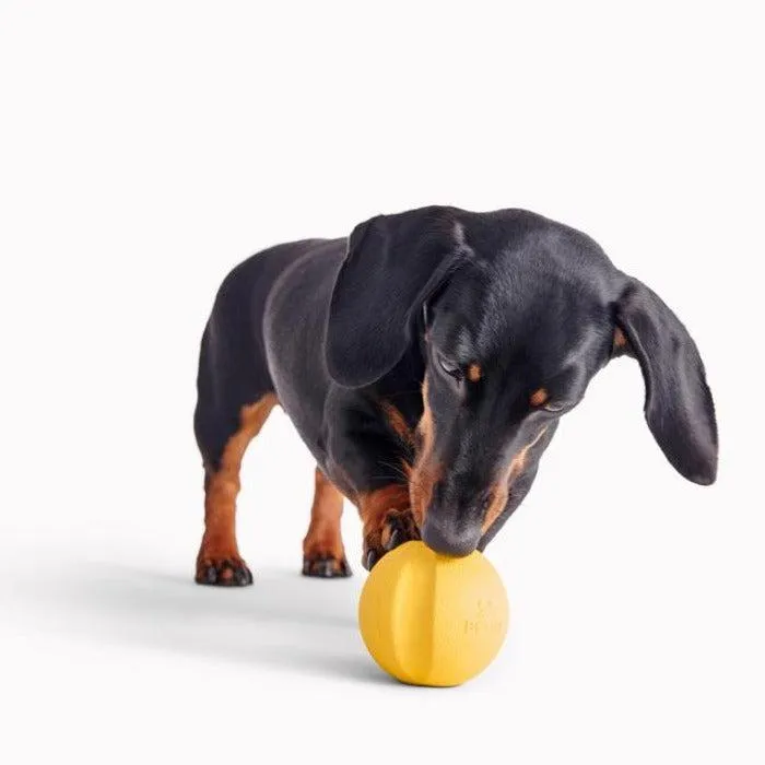 Beco - Natural Rubber Fetch Ball - Yellow
