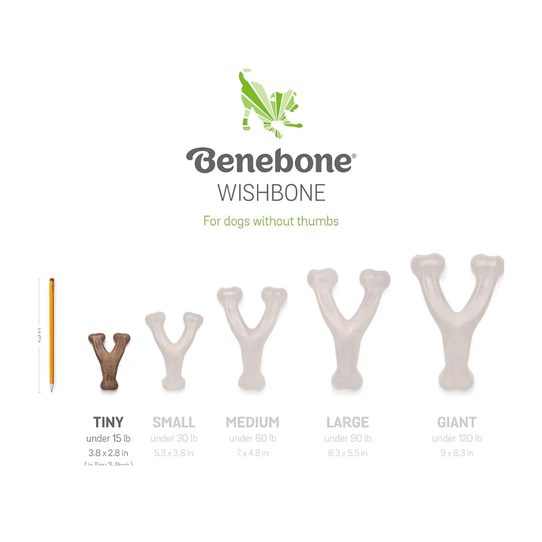 Benebone Wishbone Bacon Flavor Puppy  Chew Toy