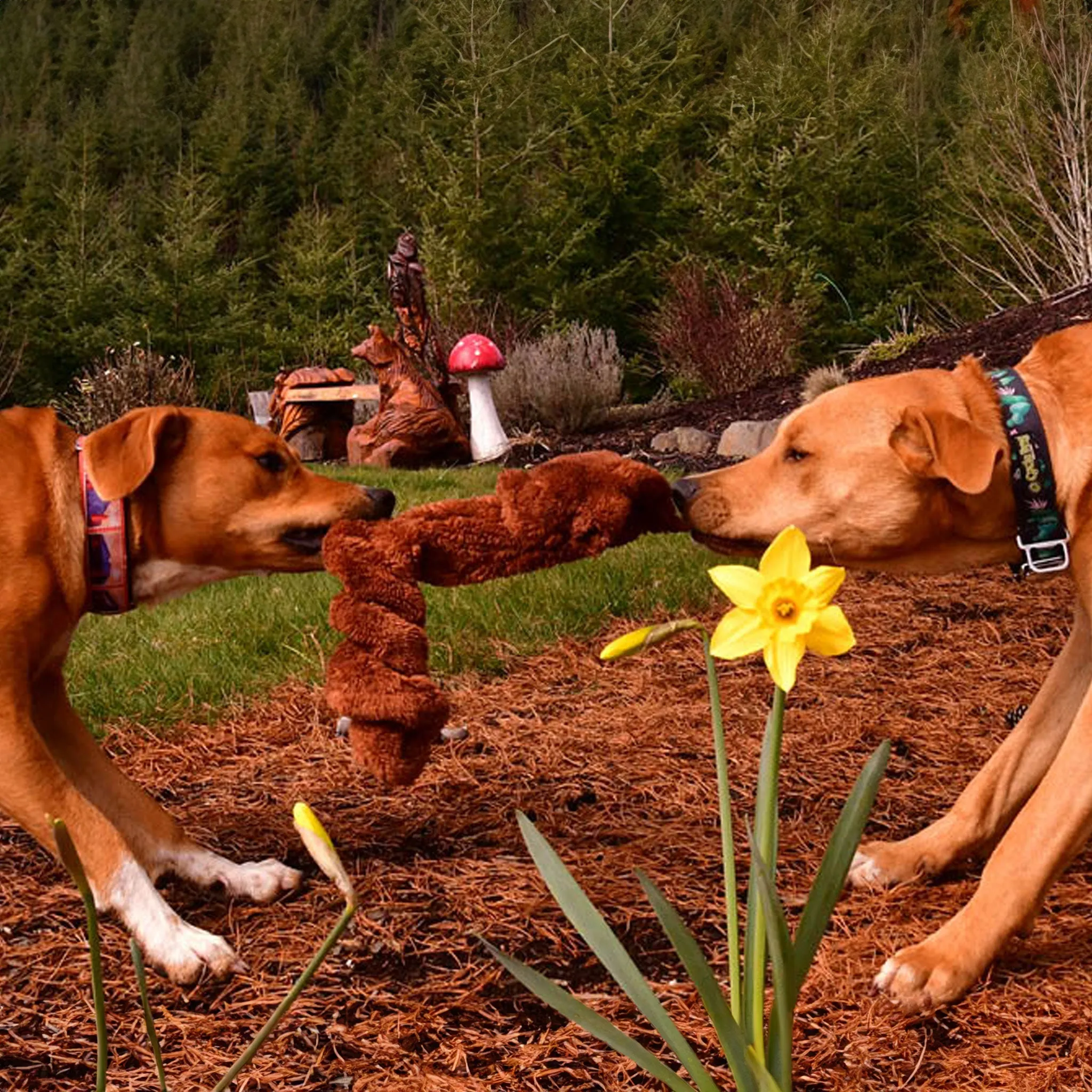 Cycle Dog Springy Squirrel Dog Toy
