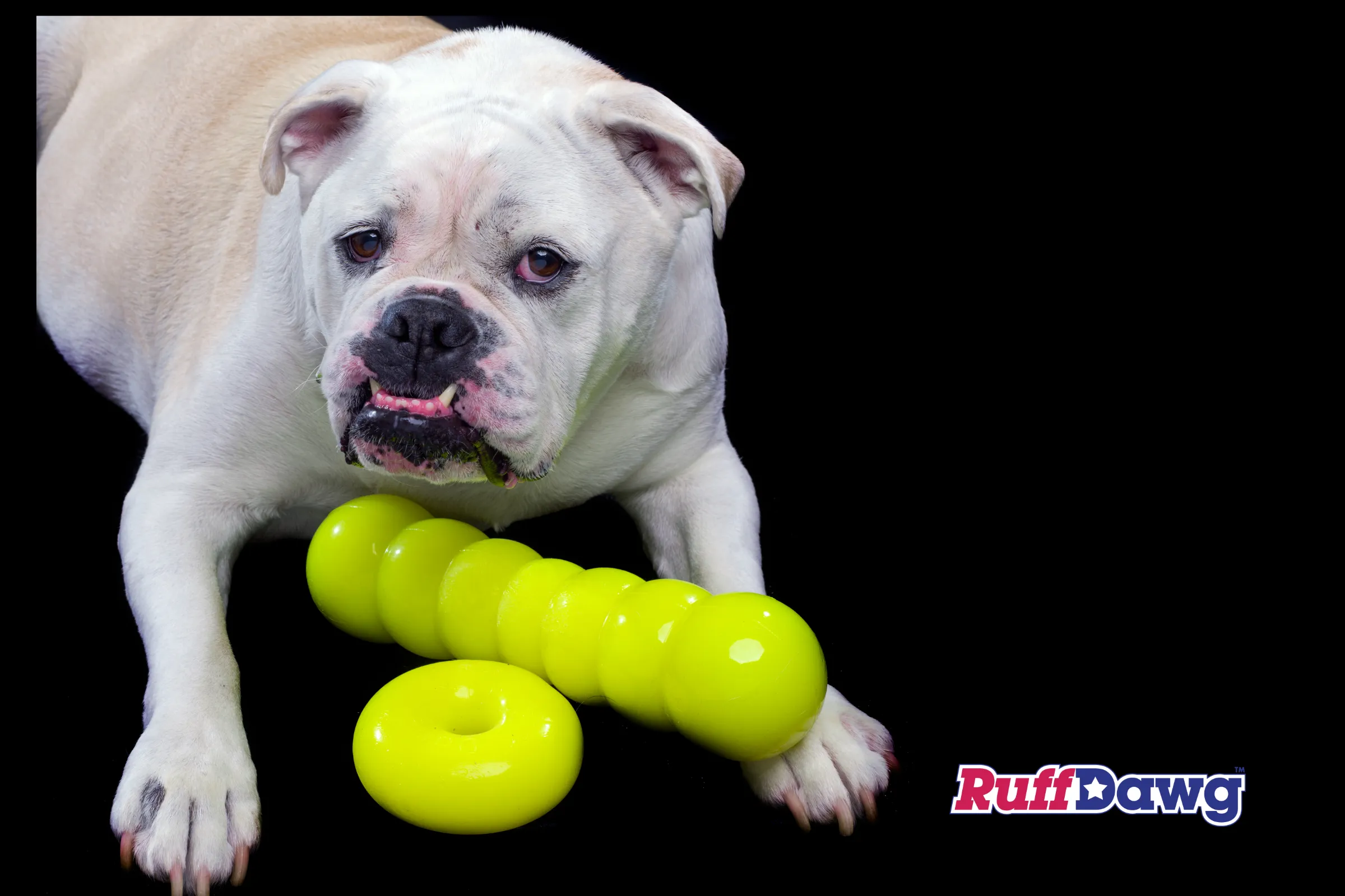Dawg Buster XL - Dogs 40 lbs Plus - Ruff Dawg
