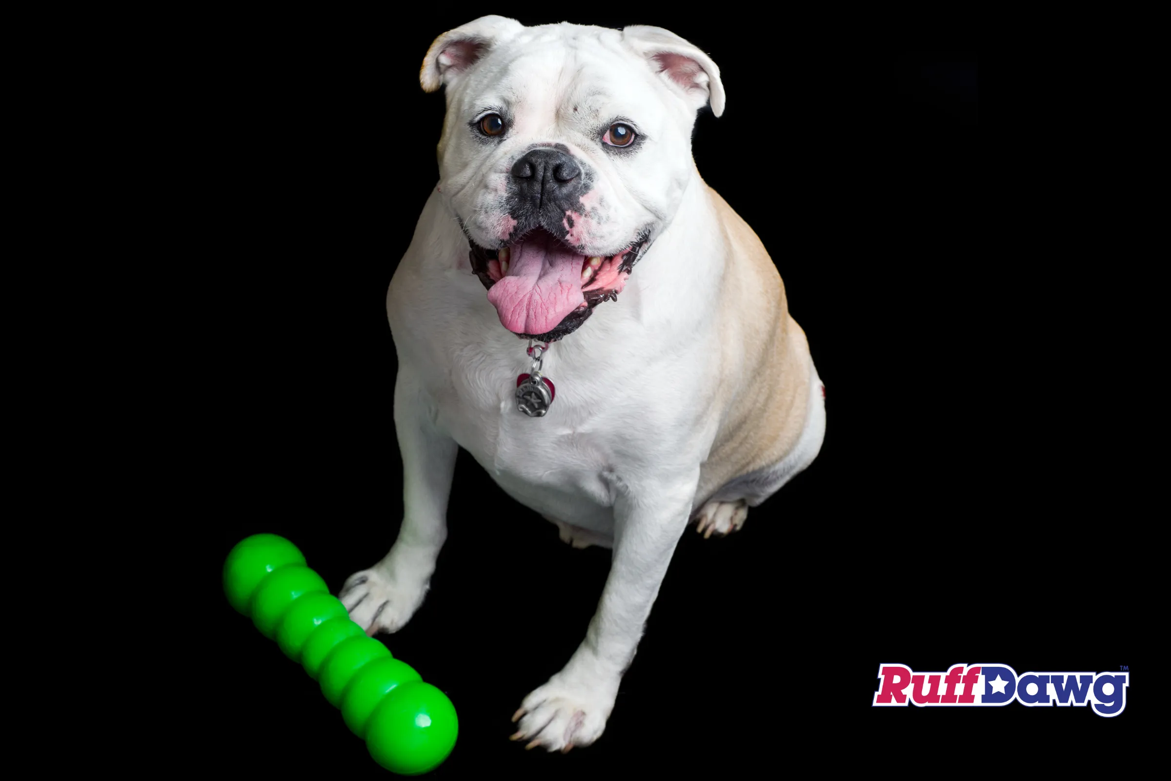 Dawg Buster XL - Dogs 40 lbs Plus - Ruff Dawg