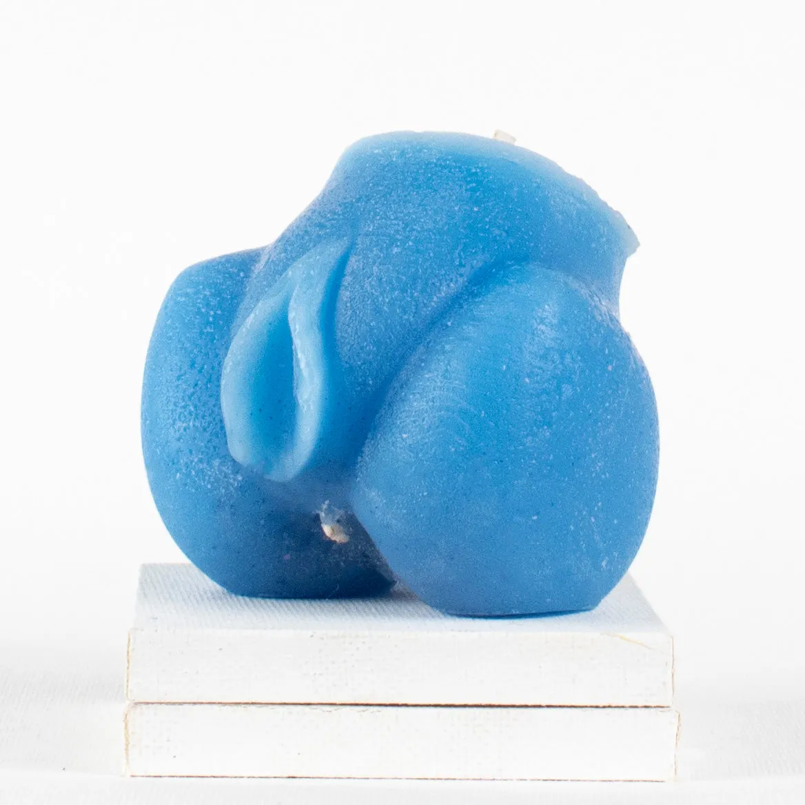 Discontinued Vulvas - Vagina Wax Play Candles - Cunt Candle