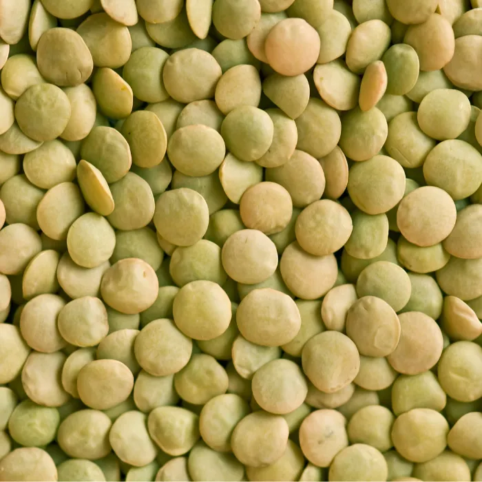 Green Lentils Organic