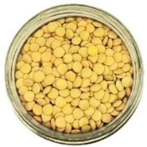Green Lentils Organic