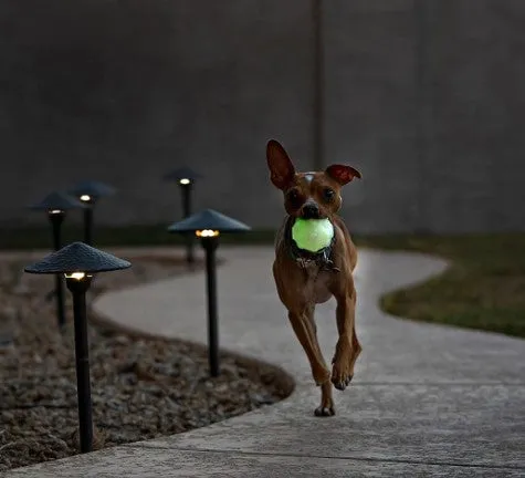 Jolly Pets  Jolly Jumper Glow in the dark Ball 3"