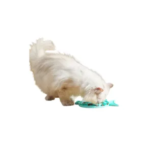 Pet Feeding Food Bowl