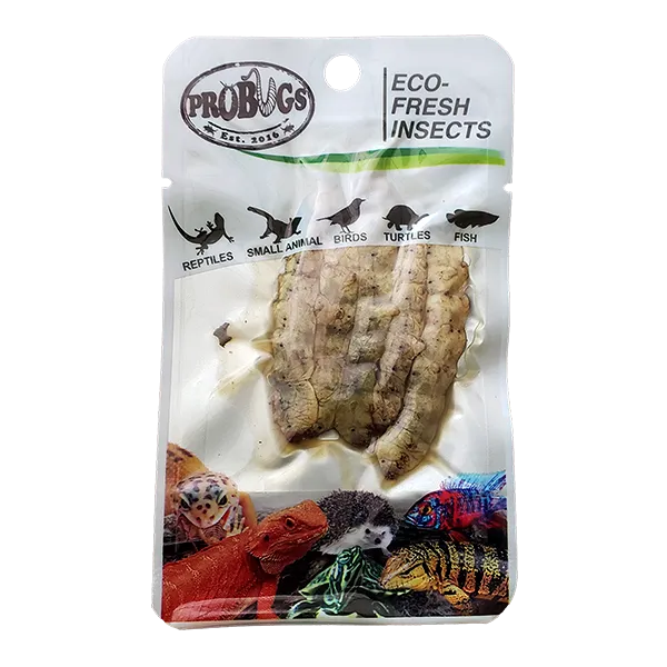 ProBugs Eco Fresh Silkworm 5pcs - 10 Packs
