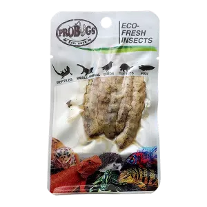ProBugs Eco Fresh Silkworm 5pcs - 10 Packs
