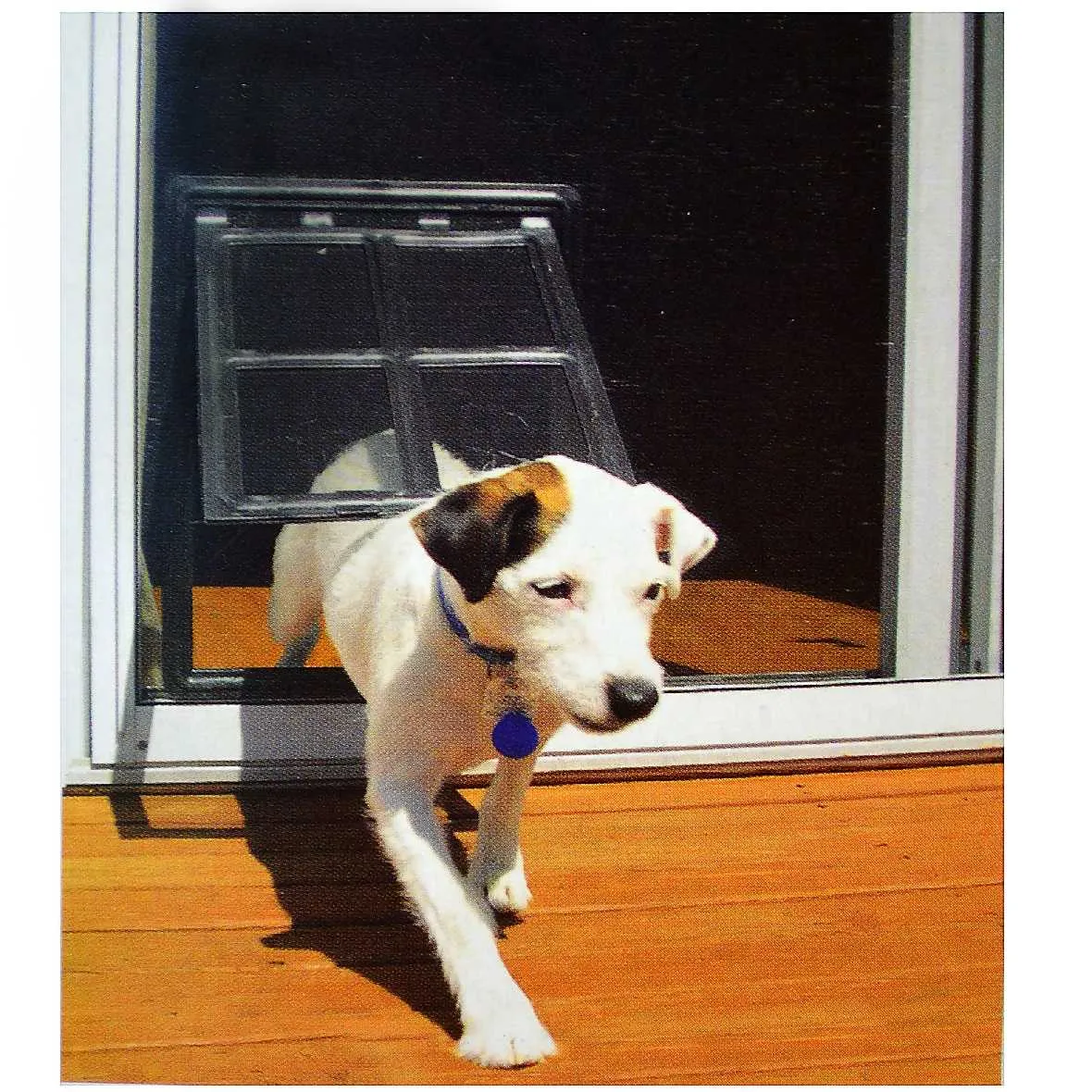 RCR Easy Screen Pet Door (while supplies last)