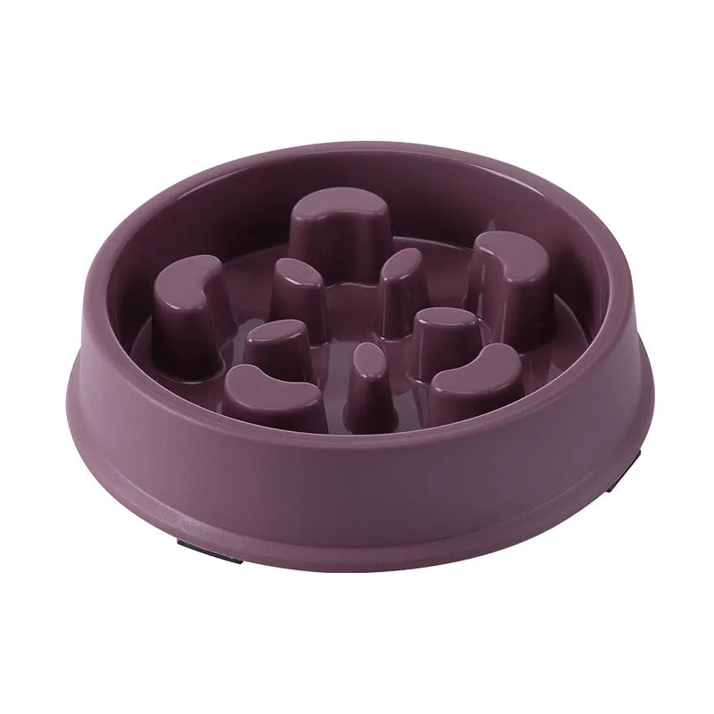 Slow Feeding Bowl for Dogs & Cats